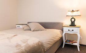 Cozy Apartment In Cesis